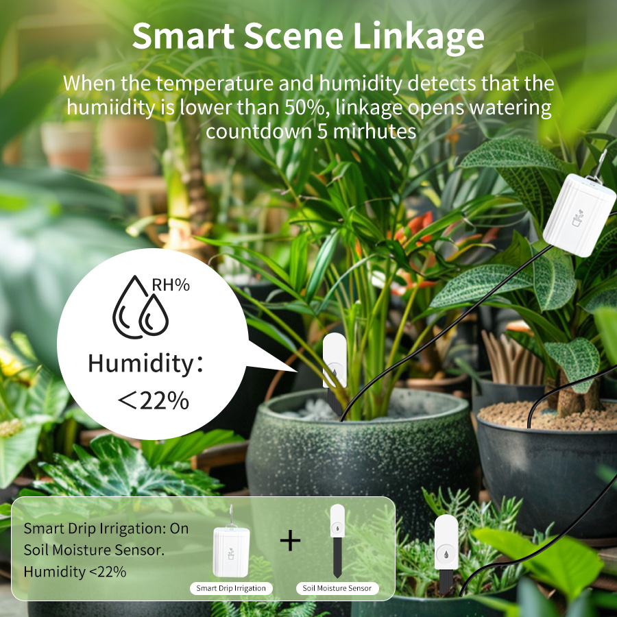 스마트 지그비 3.0 토양 테스터 식물 정원용 습도 온 - Smart Home Solution 리뷰 및 가격