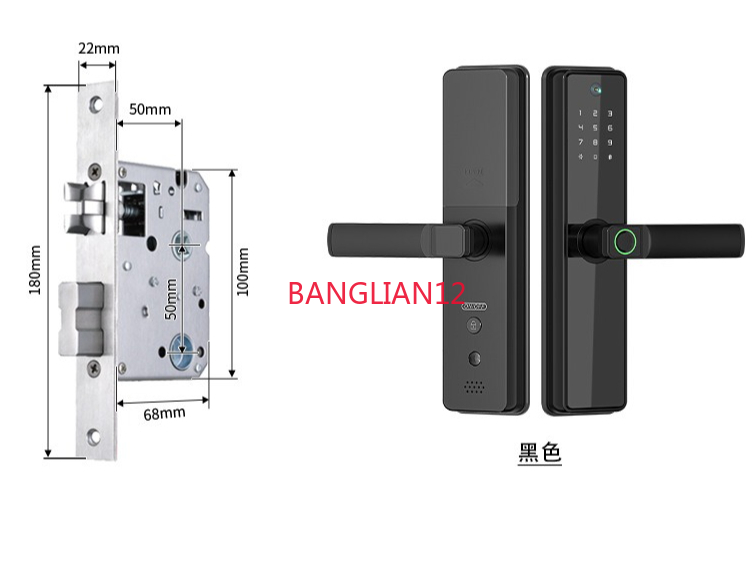 새로운 반자동 도난 방지 도어락, 그래피티 캣아이 모니 - Smart Door Lock 리뷰 및 가격